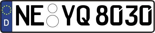 NE-YQ8030