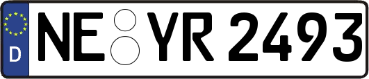 NE-YR2493