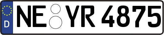 NE-YR4875