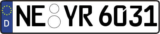 NE-YR6031