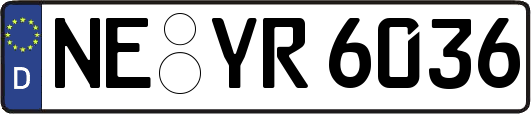 NE-YR6036