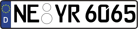 NE-YR6065