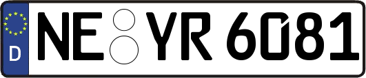 NE-YR6081