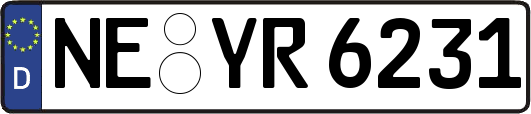NE-YR6231