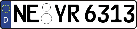 NE-YR6313