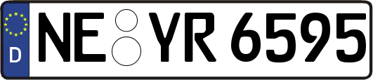 NE-YR6595