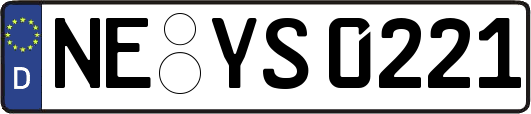 NE-YS0221
