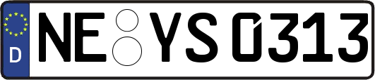 NE-YS0313