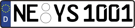 NE-YS1001