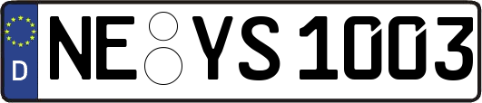 NE-YS1003