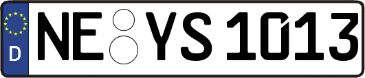 NE-YS1013
