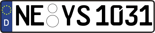 NE-YS1031