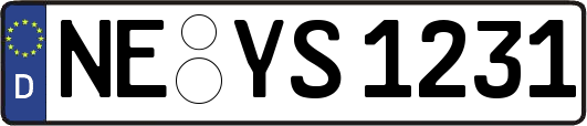 NE-YS1231