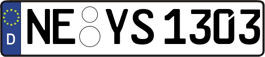 NE-YS1303