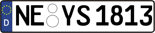 NE-YS1813