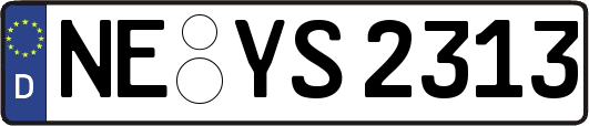 NE-YS2313