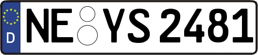 NE-YS2481