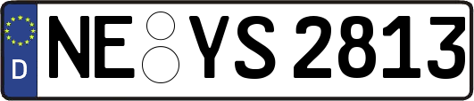 NE-YS2813