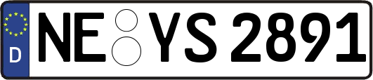 NE-YS2891