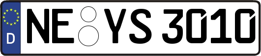 NE-YS3010