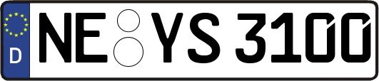 NE-YS3100