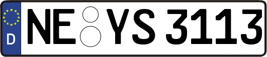 NE-YS3113