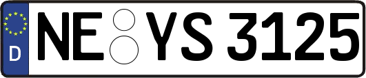 NE-YS3125