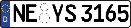 NE-YS3165
