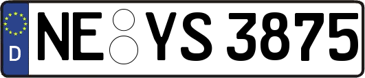 NE-YS3875