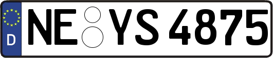 NE-YS4875