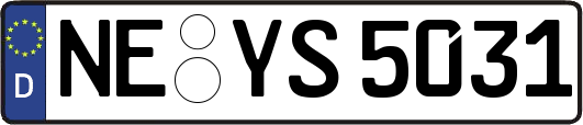NE-YS5031