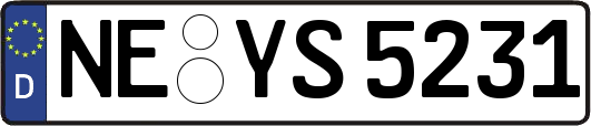 NE-YS5231