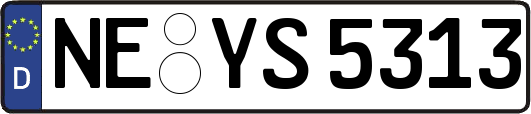 NE-YS5313