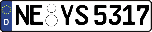 NE-YS5317