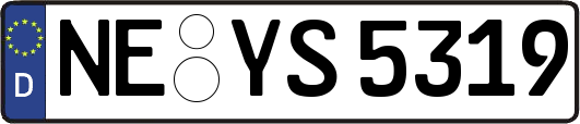 NE-YS5319