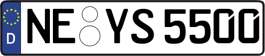 NE-YS5500