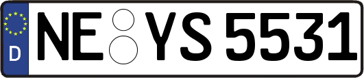 NE-YS5531