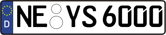 NE-YS6000