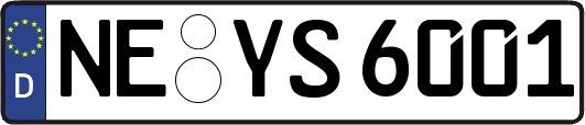 NE-YS6001