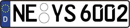 NE-YS6002