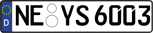 NE-YS6003