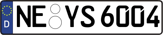 NE-YS6004