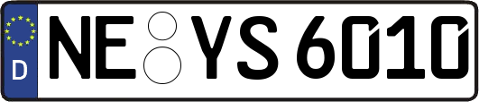 NE-YS6010