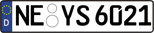 NE-YS6021