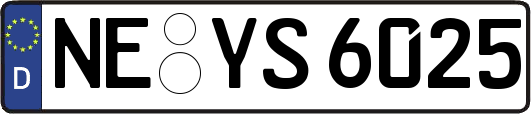 NE-YS6025