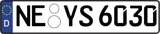 NE-YS6030