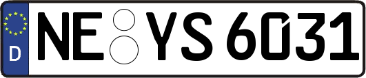 NE-YS6031