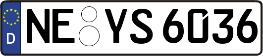 NE-YS6036
