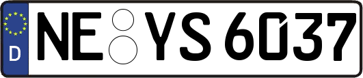 NE-YS6037
