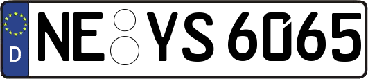 NE-YS6065